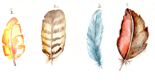 4 Feathers with aquarell : ) - image 1 - student project