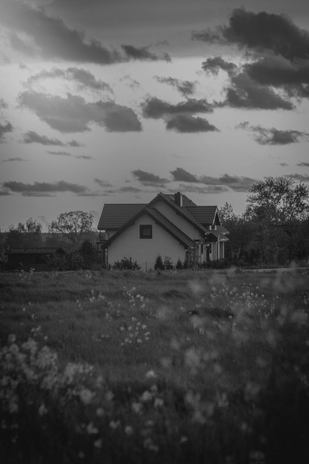Black and White Projects - image 1 - student project