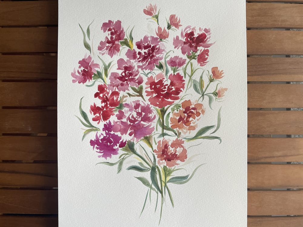 Carnations - image 1 - student project