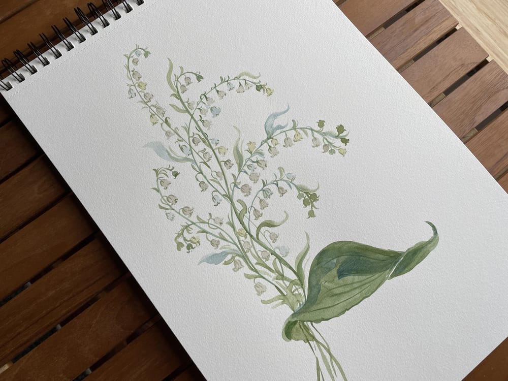 Lily of the valley - image 2 - student project