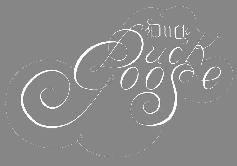 Duck + Goose - image 4 - student project