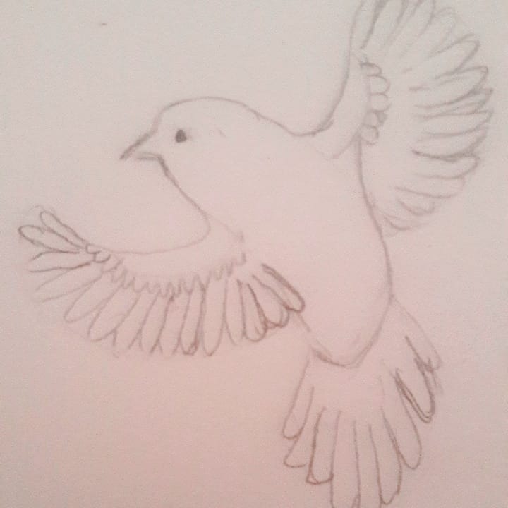 bird in flight - image 1 - student project