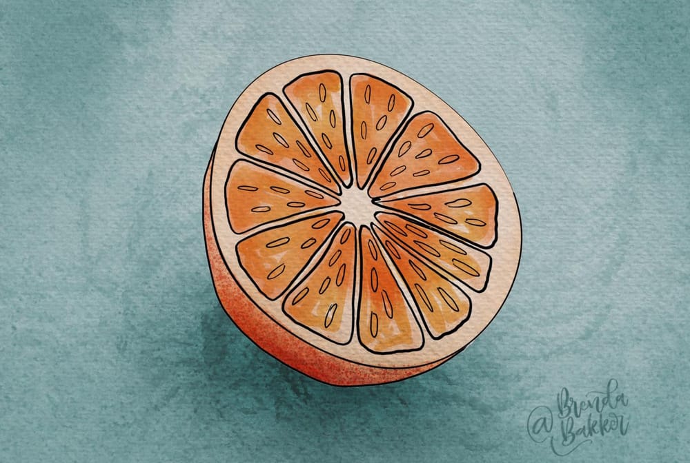 My oranges. Full pictures on instagram - image 1 - student project