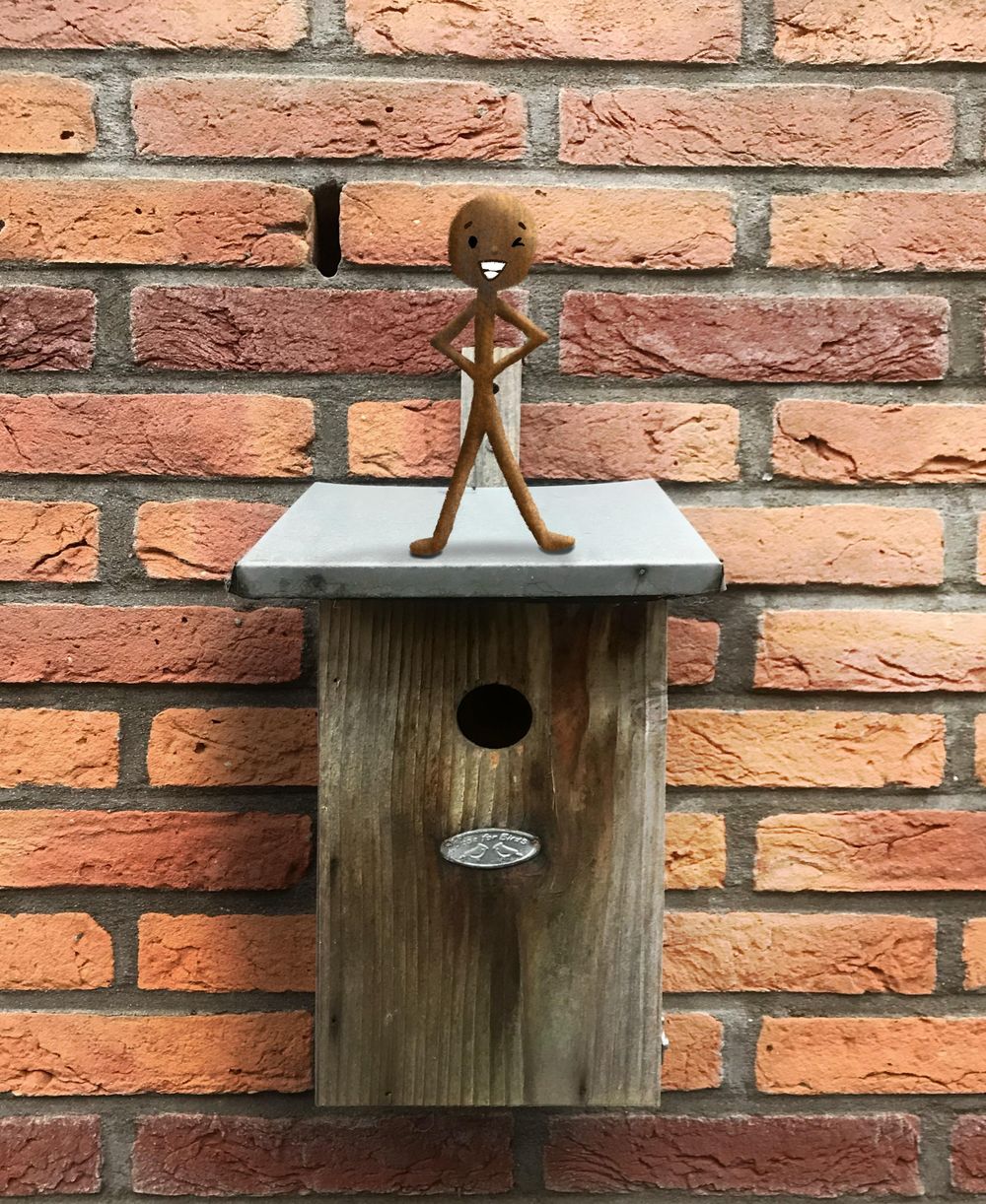 Some fun projects - image 1 - student project