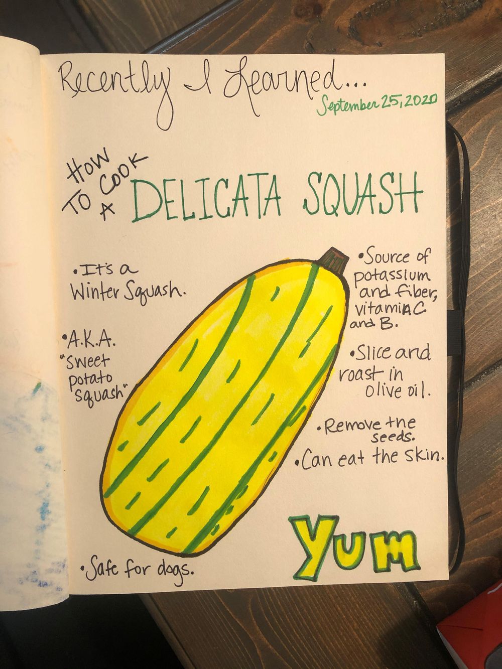 Illustrated Journaling -14 days of prompts..... - image 2 - student project