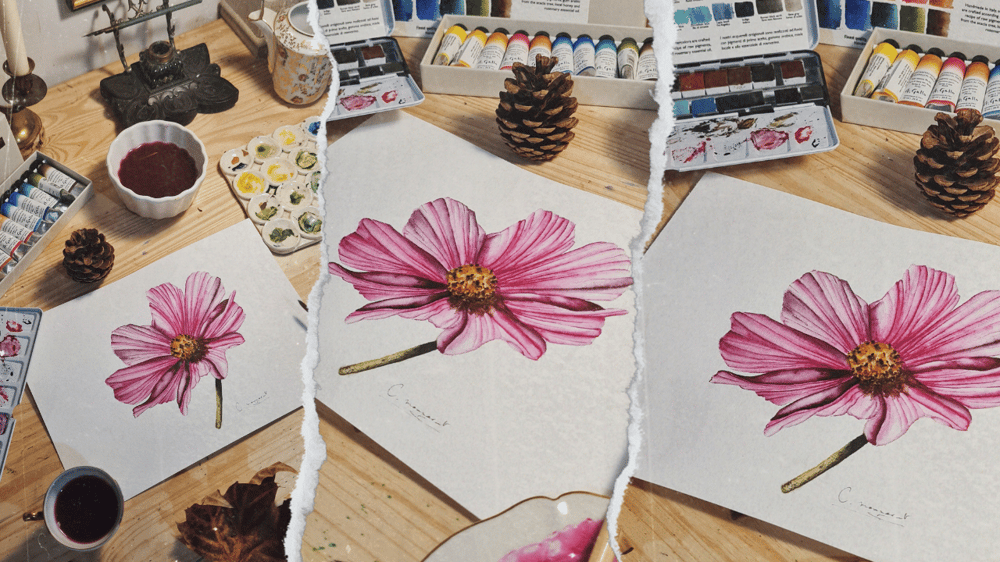 Fleur Pavot réaliste à l'aquarelle - image 1 - student project