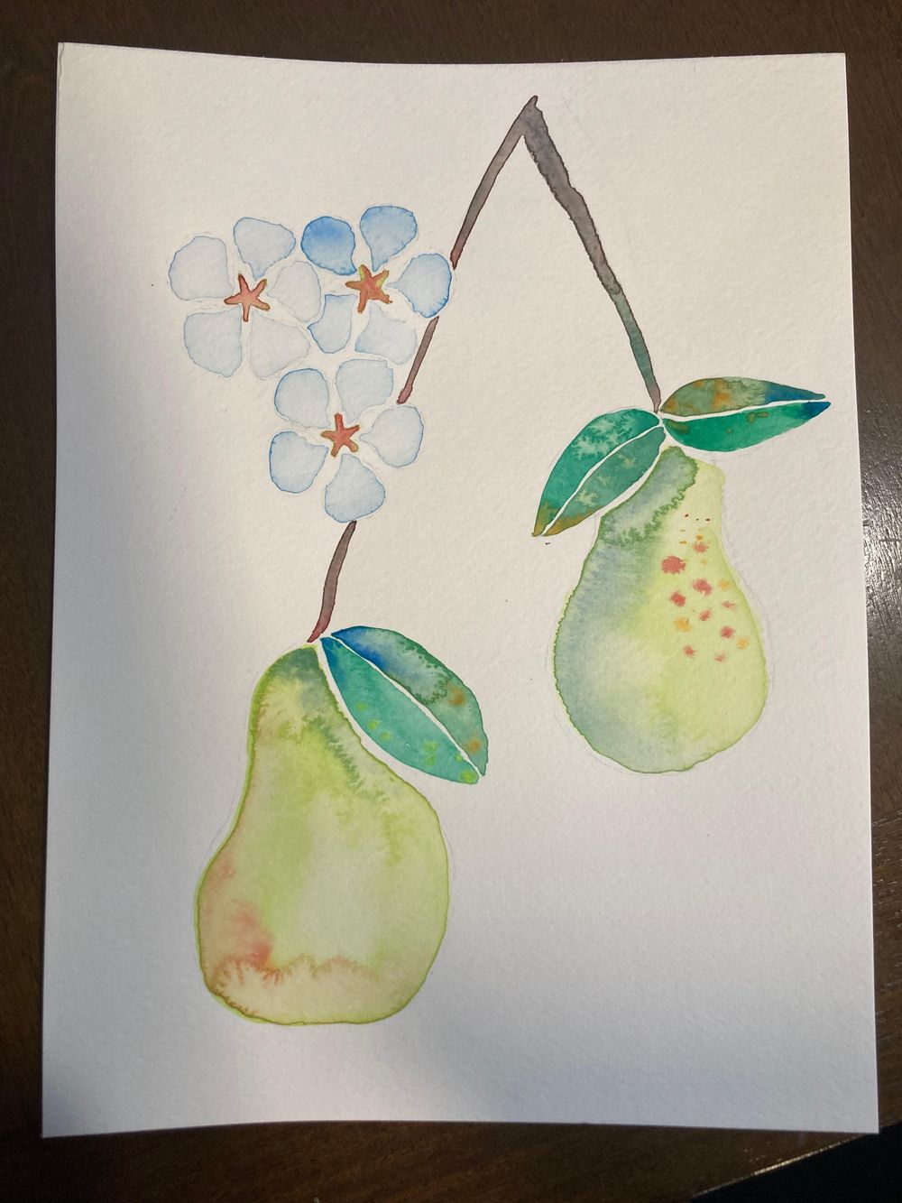 Pears and Blossoms - image 1 - student project