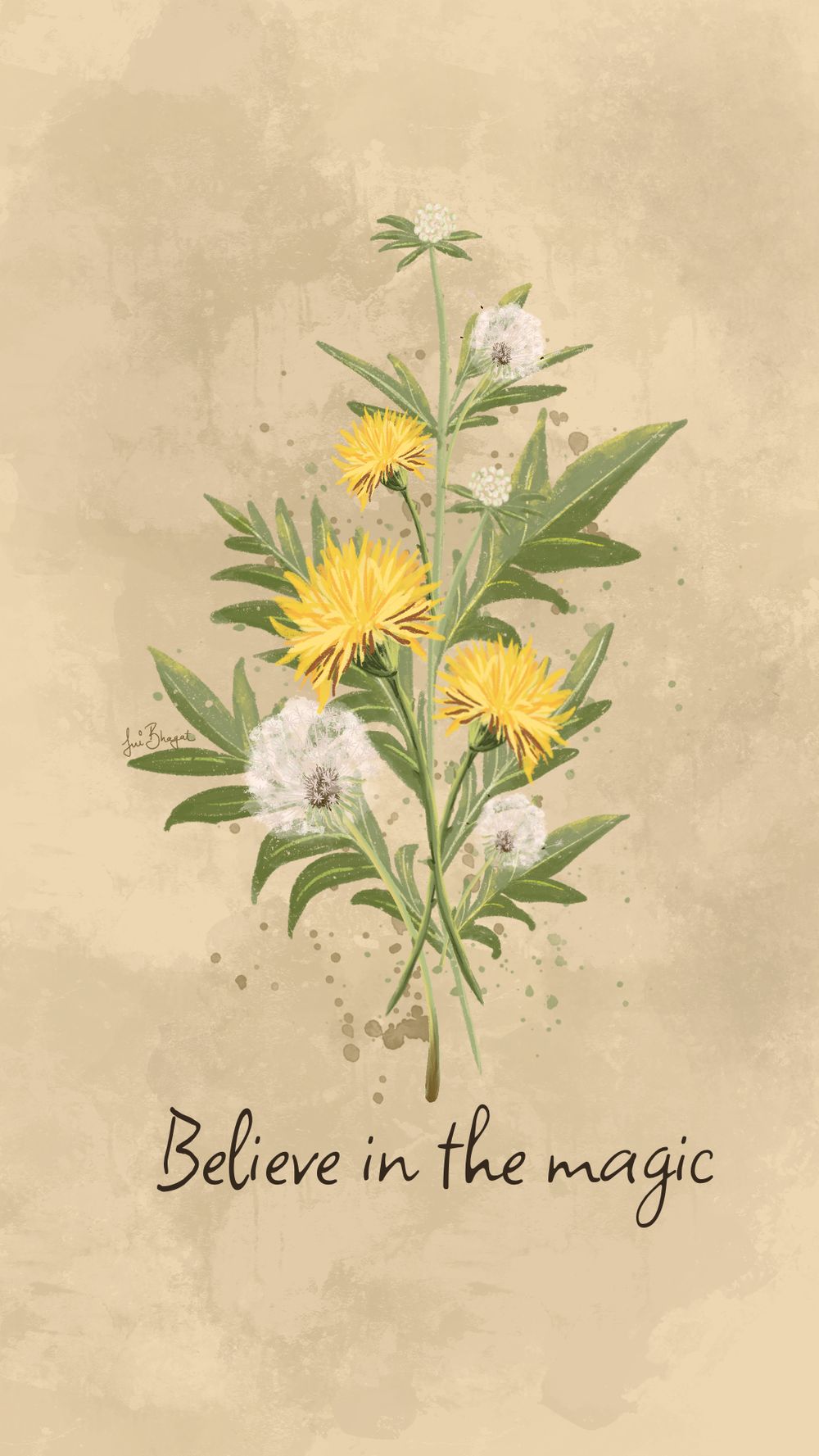 Dandelions - image 1 - student project