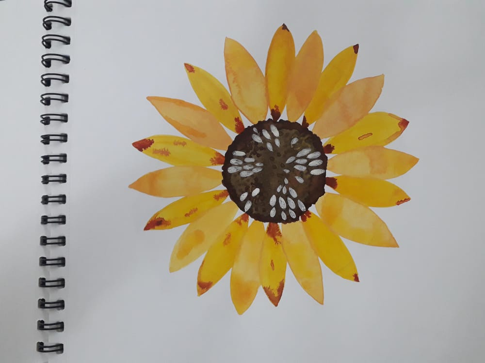 Botanical Watercolors with a Modern Twist - image 1 - student project