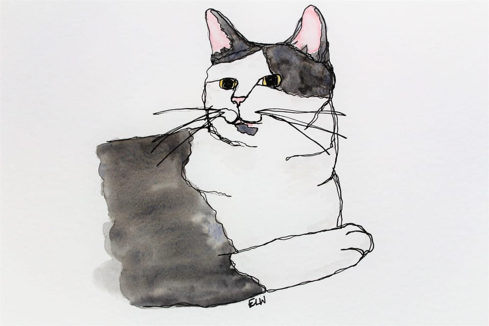 Continuous Line Cat - With Watercolour Additions! - image 1 - student project