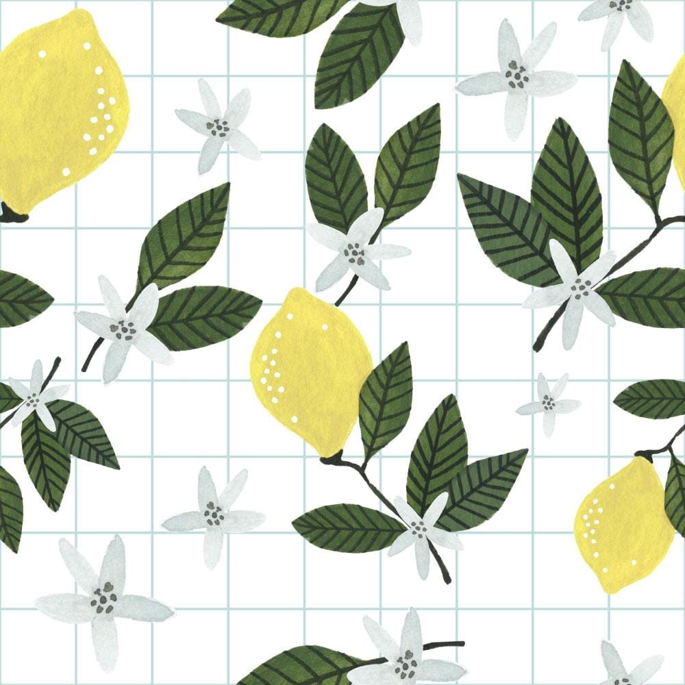 Lemon Breeze - image 1 - student project