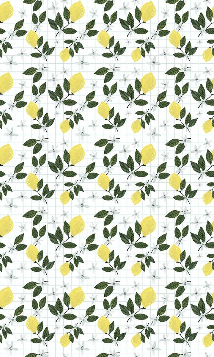 Lemon Breeze - image 3 - student project