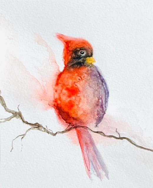 my cardinal - image 1 - student project