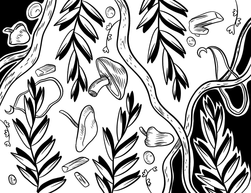 My First Zine: Doodles of Britts Shelf - image 3 - student project