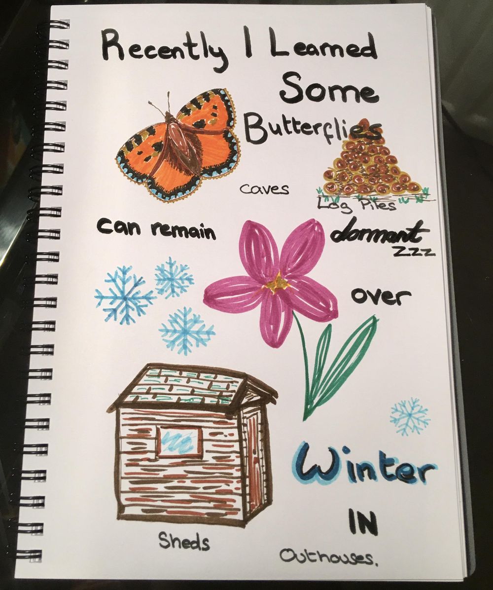 Daily Art Practice - Inktober 28 Day Self Care Challenge - image 14 - student project