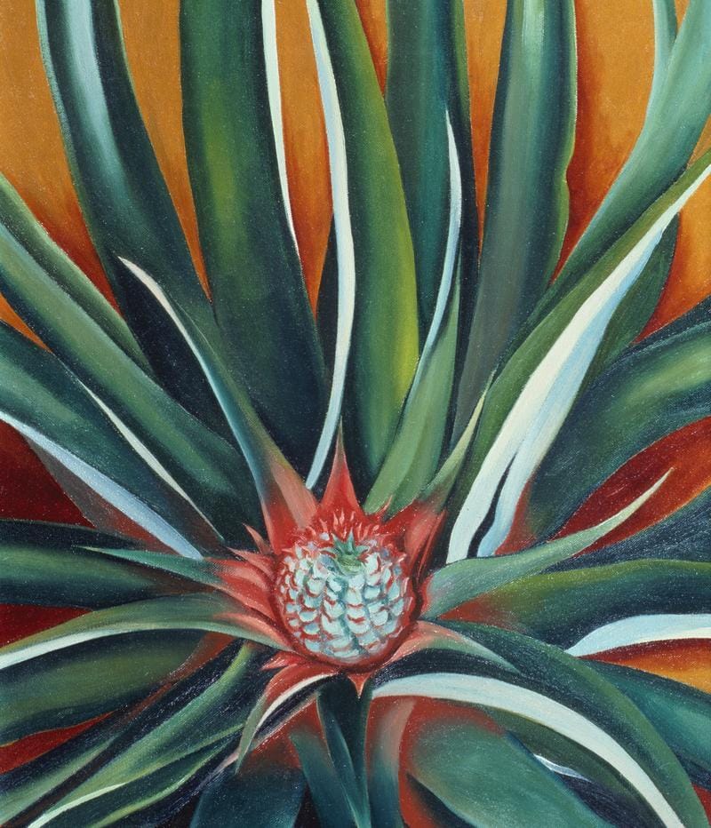 Pineapple Princess - image 1 - student project