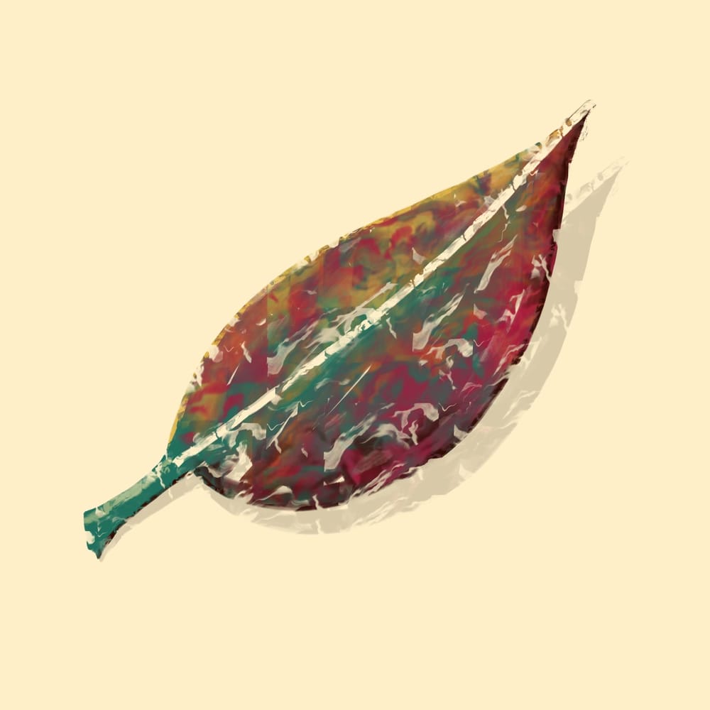 Marble Brushes - image 2 - student project