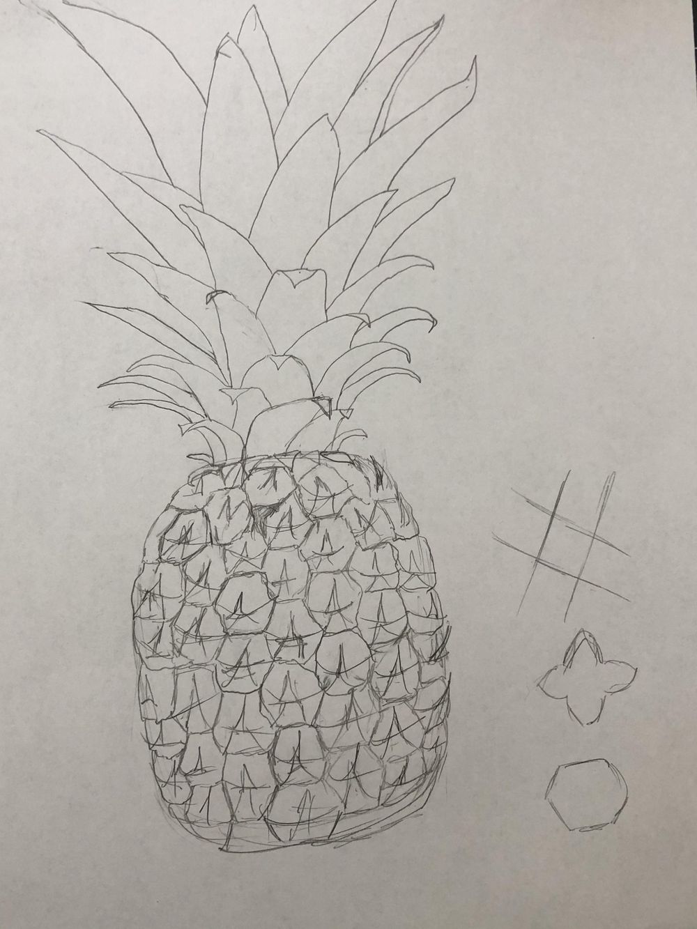 Pineapple - image 1 - student project