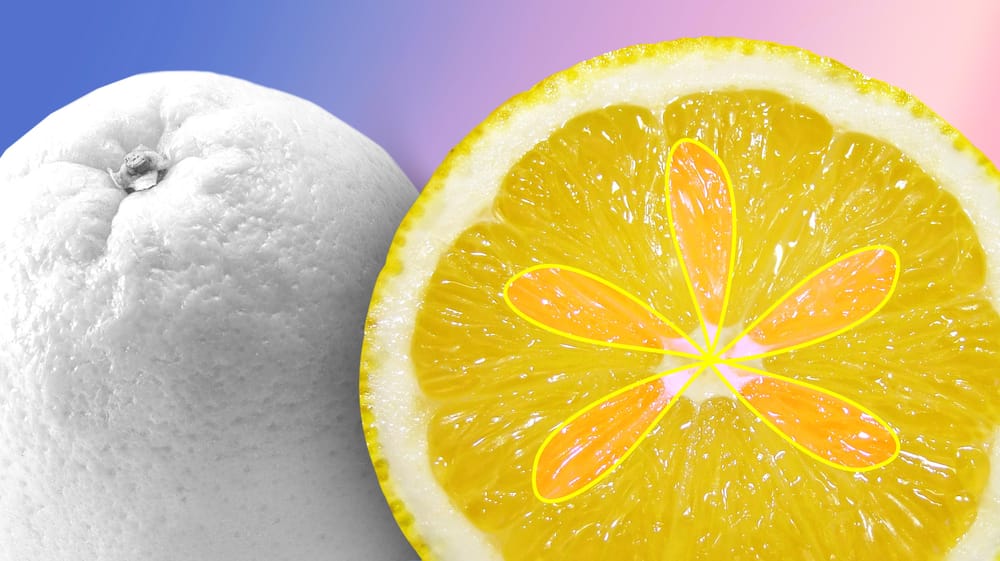 Lemon-Orange - image 1 - student project