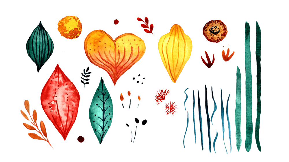 Botanical Scenes in Photoshop - image 2 - student project