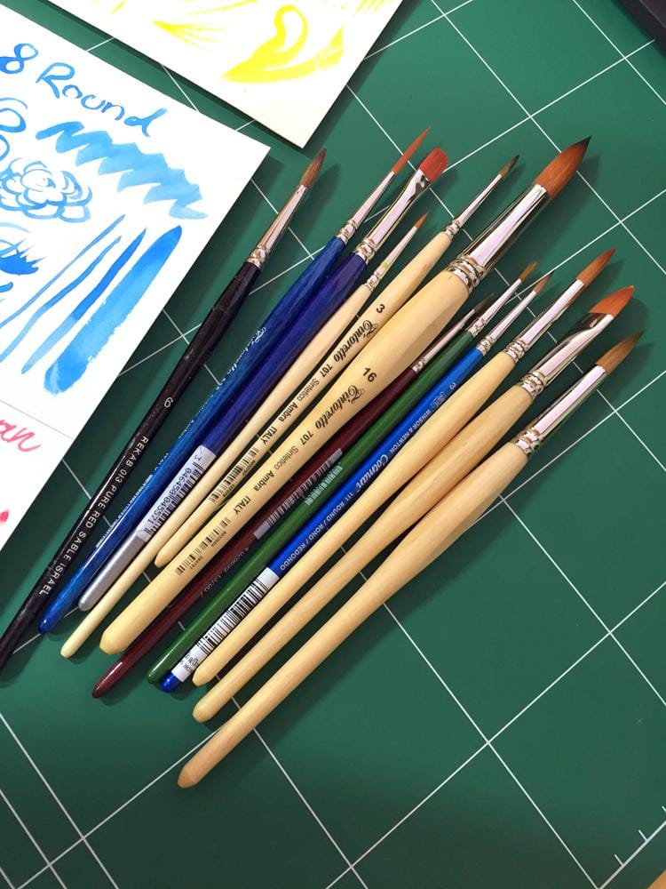 My Brush Study & Samplers - image 2 - student project