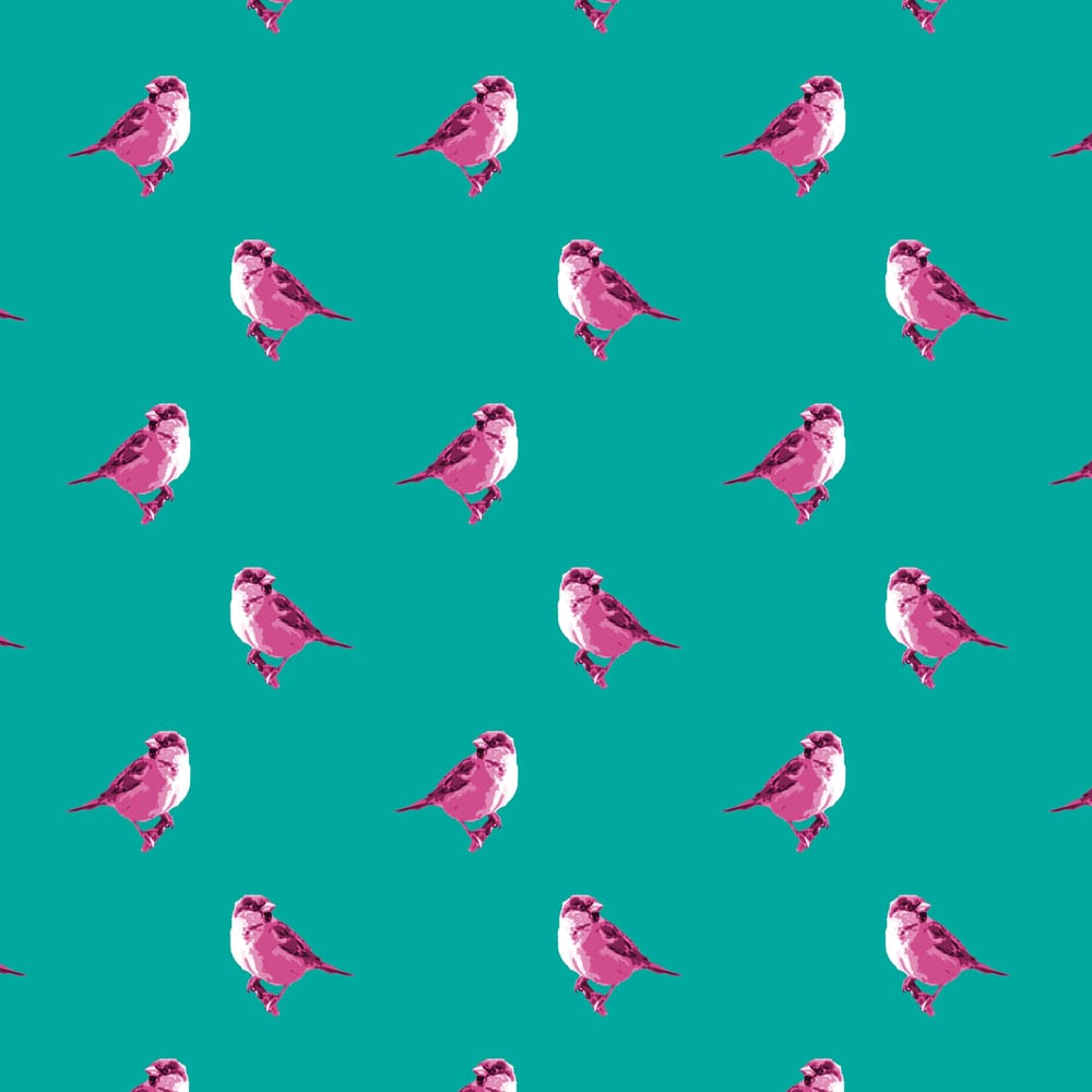 Put a Bird On It ;) - image 1 - student project
