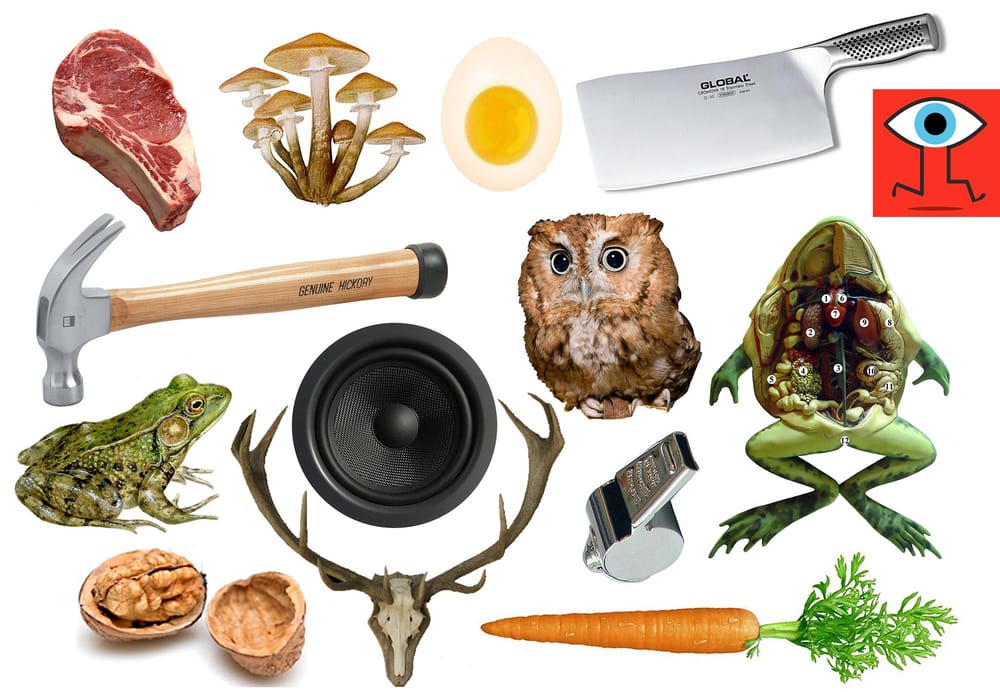 Meat eating vegetables - image 3 - student project