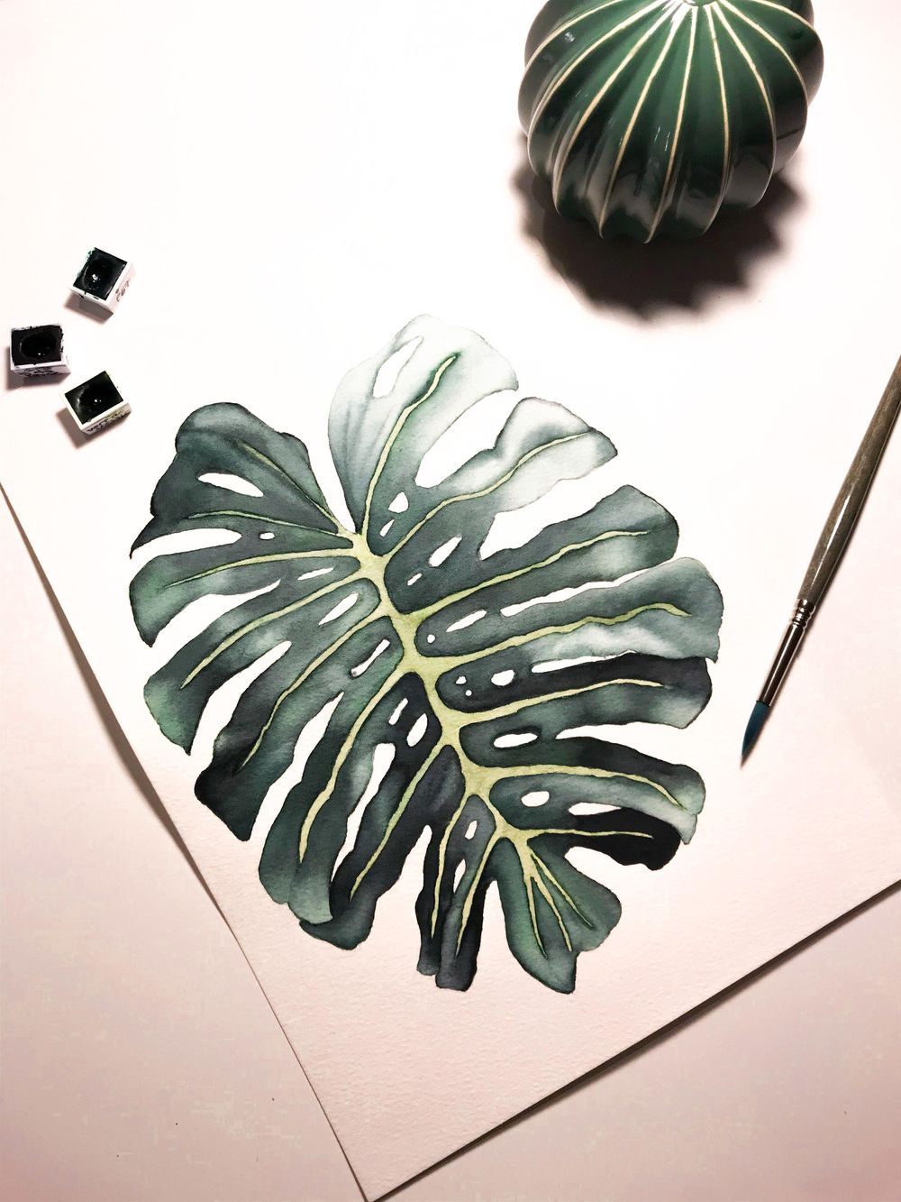 Monstera leaf - image 1 - student project