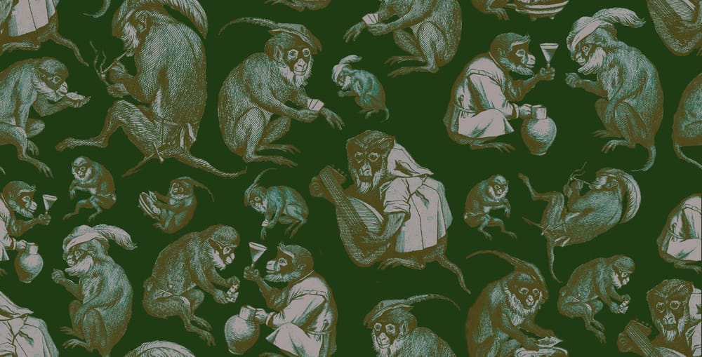 Antique Party - Monkey - image 7 - student project