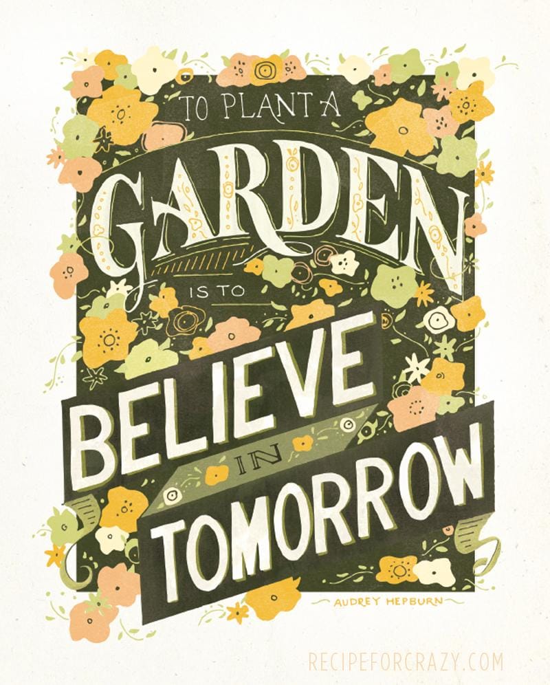 To Plant a Garden - image 15 - student project