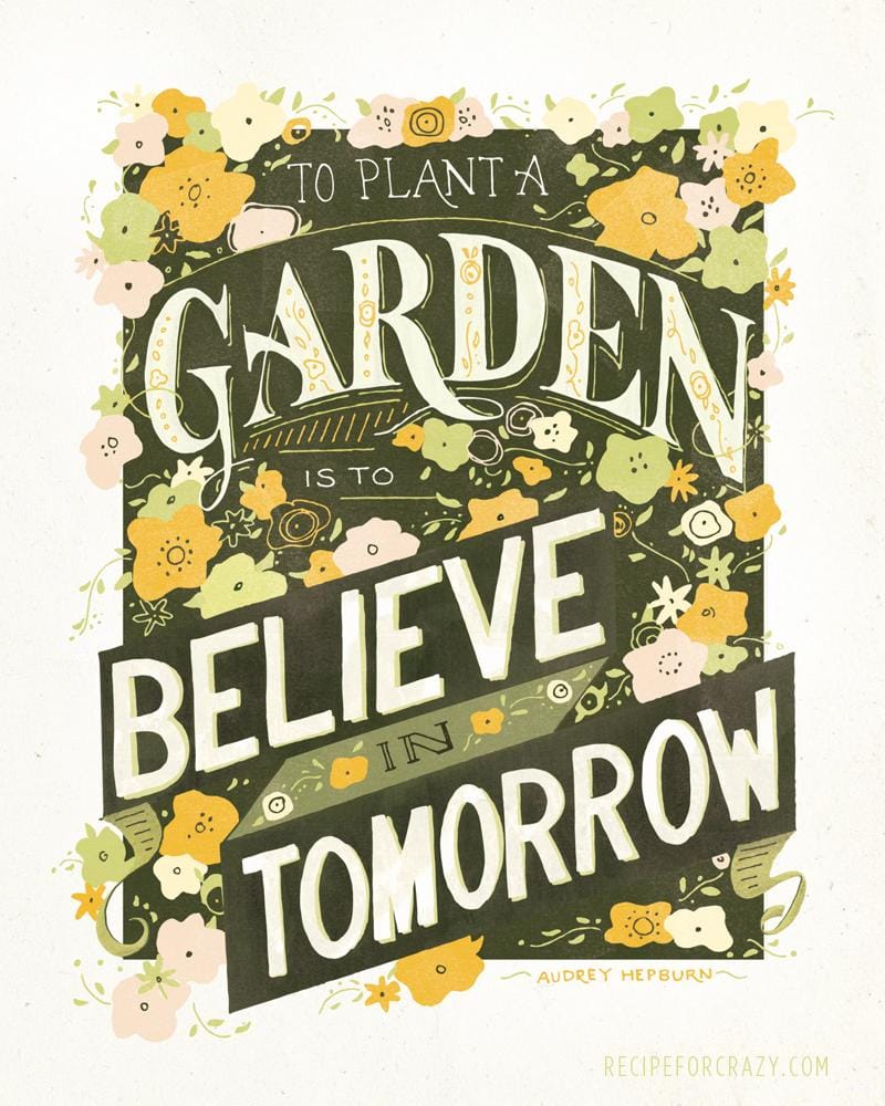 To Plant a Garden - image 14 - student project