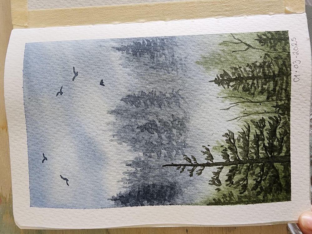 Misty Pines - image 1 - student project