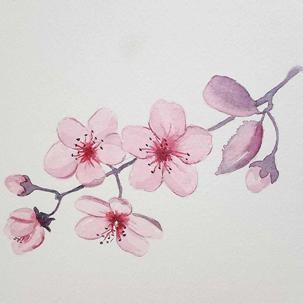 Cherry Blossom 2 - image 1 - student project