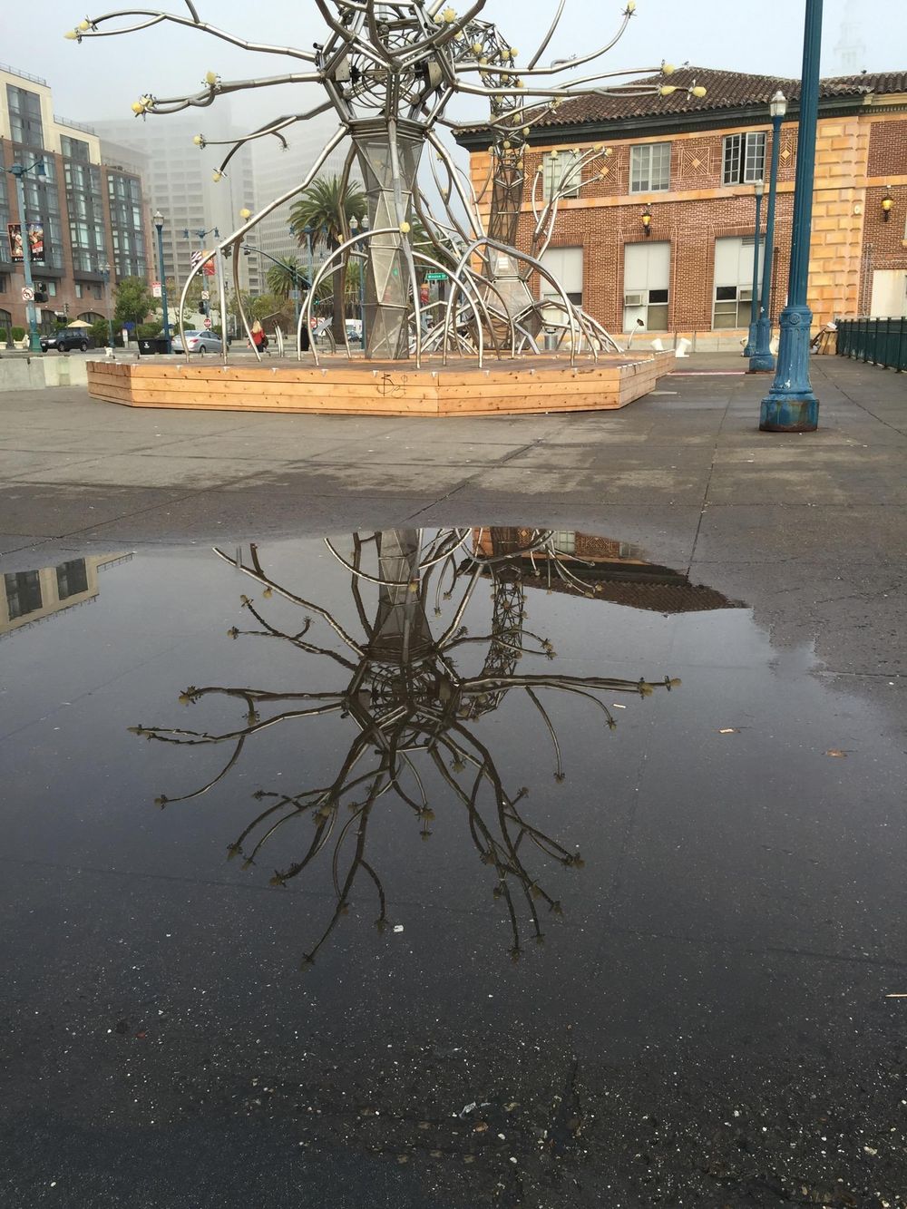 A Puddle Full of Stars - image 1 - student project