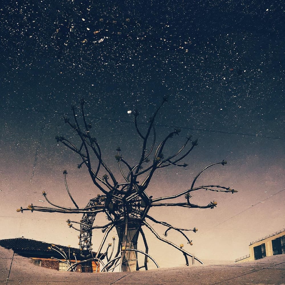 A Puddle Full of Stars - image 3 - student project
