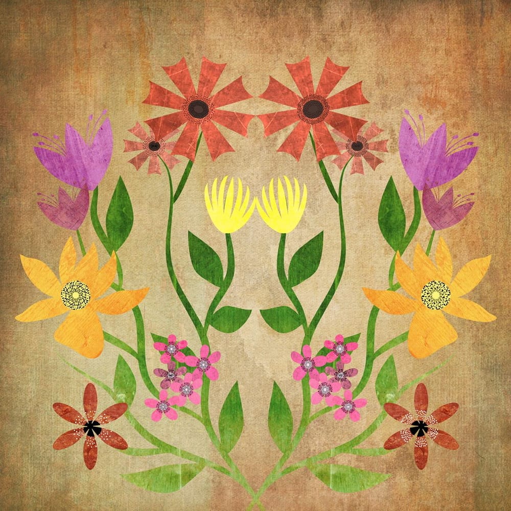 Flower Symmetry - image 1 - student project