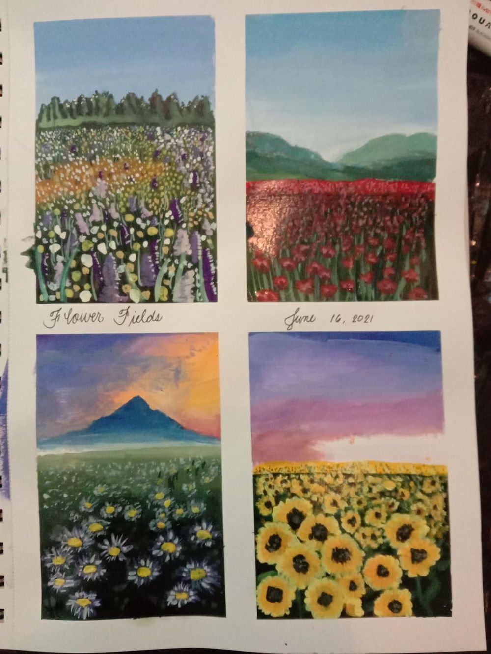 Flower Fields - image 1 - student project