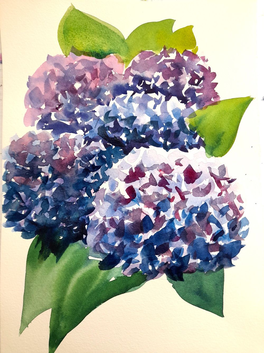 Balance, Proportion, Emphasis, Unity, Variety - image 9 - student project