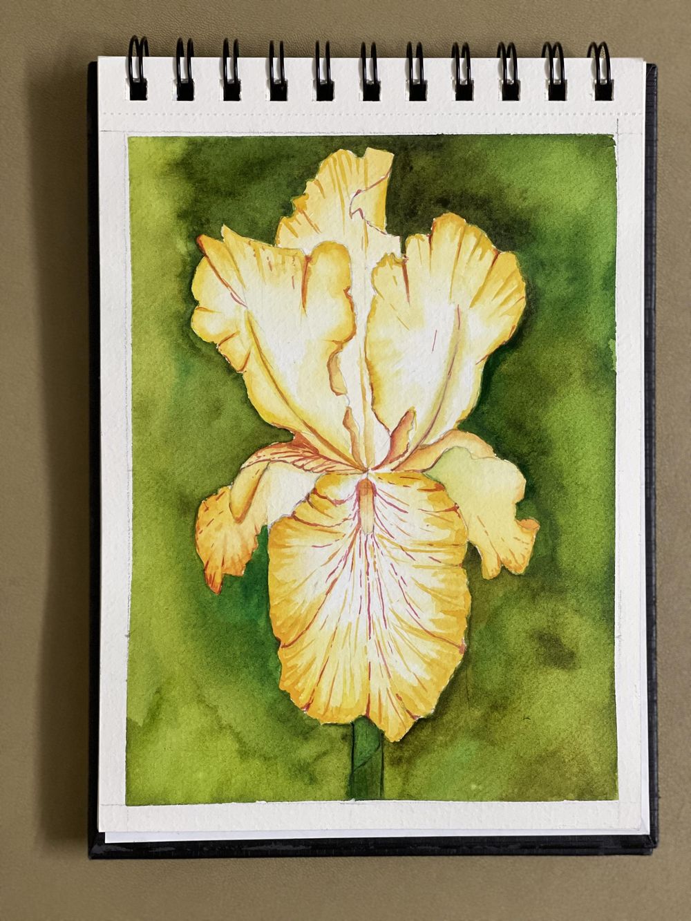 Watercolour iris in two ways by Dhritikana - image 2 - student project