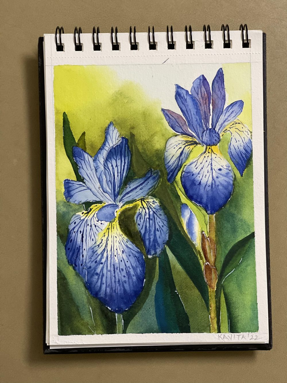 Watercolour iris in two ways by Dhritikana - image 1 - student project