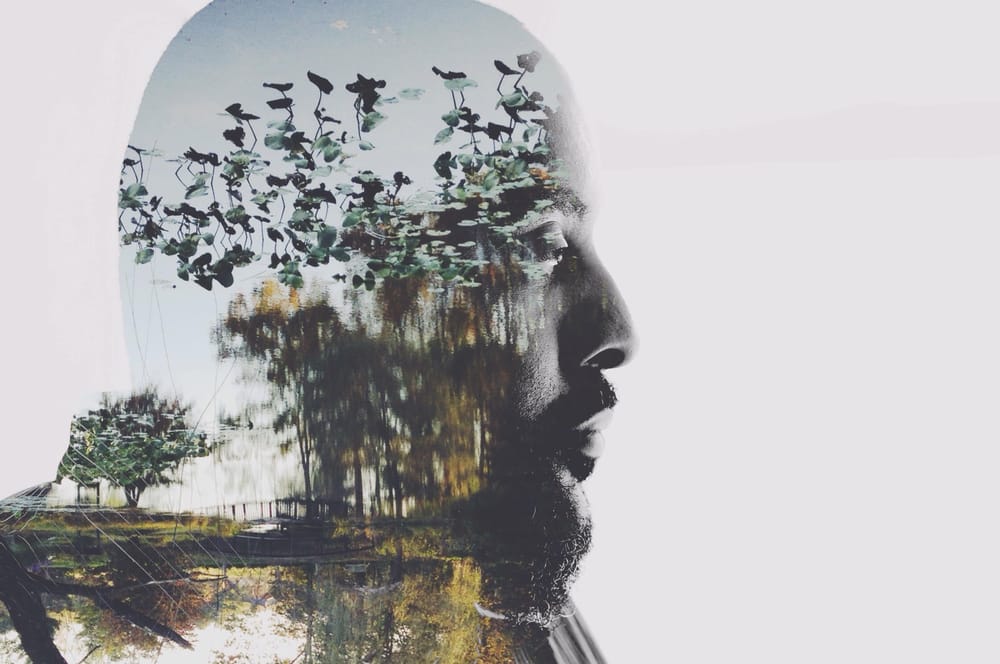 You are my Autumn  - image 6 - student project