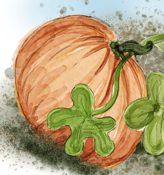 EllieP re-engineers her own pumpkin - image 1 - student project