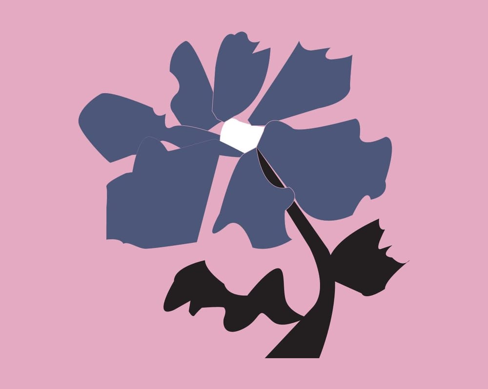 Let's Play with flowers - image 4 - student project