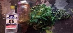 My First Attempt At An Alcohol-Based Tincture!!! - image 1 - student project