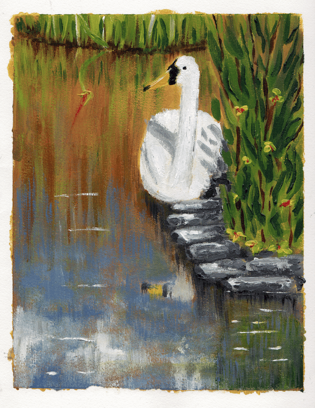 Pond - image 1 - student project