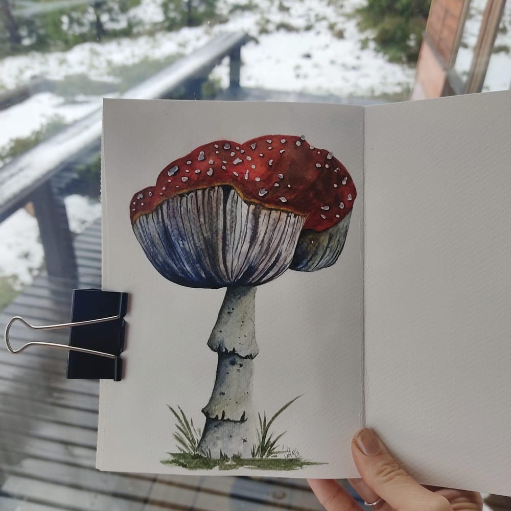 Red Mushroom - image 1 - student project