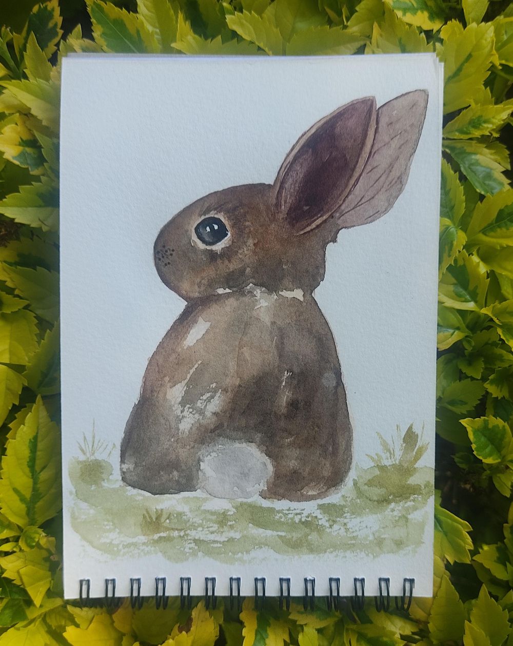 Little bunnies - image 1 - student project
