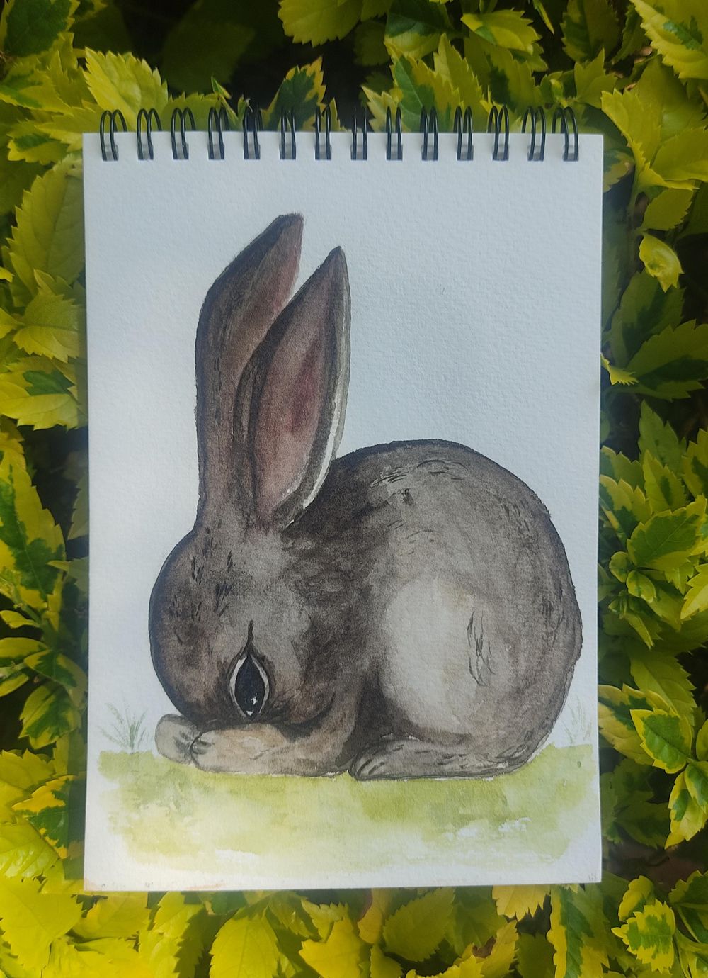 Little bunnies - image 2 - student project