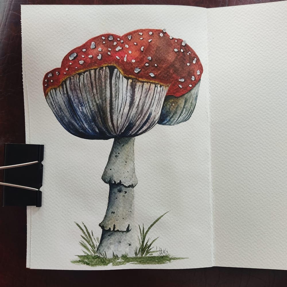 Red Mushroom - image 3 - student project