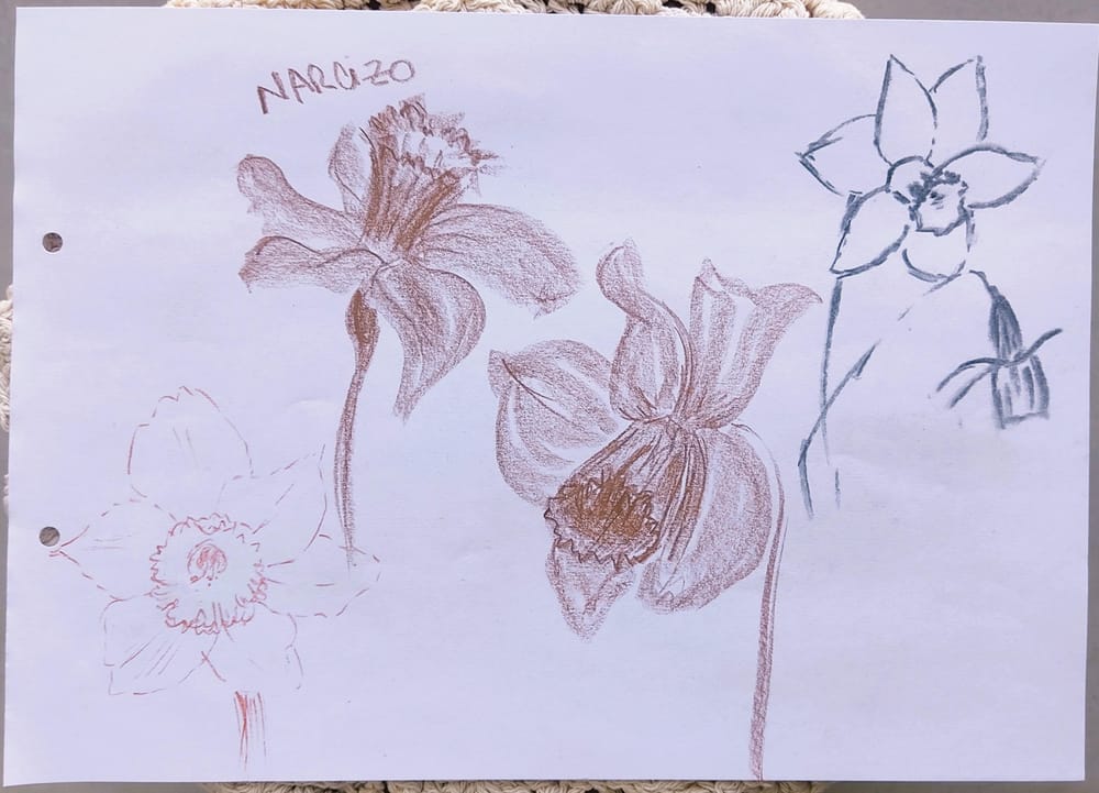 Capture the Essence: Loose Sketching with Shapes - image 3 - student project